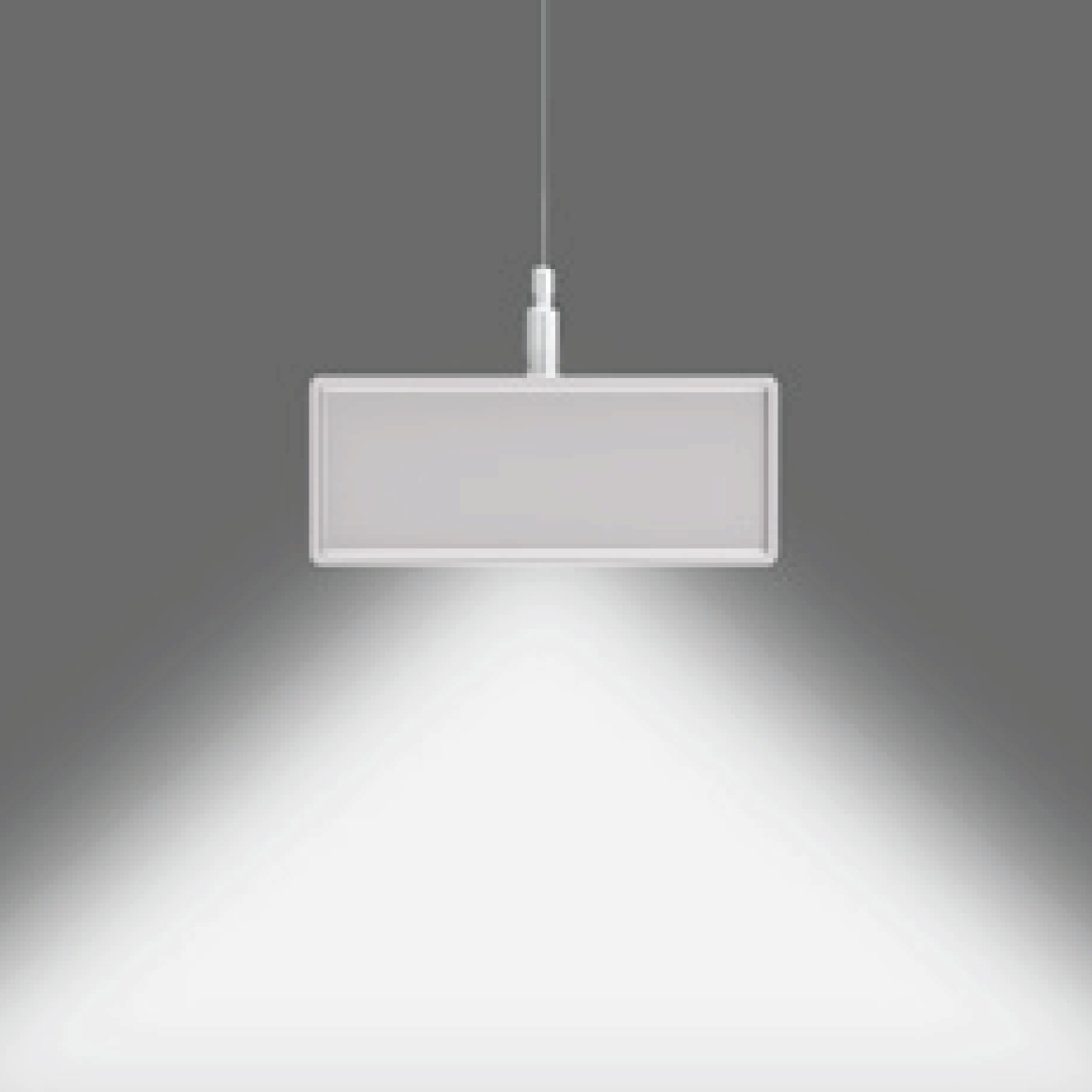 Medius_Distribution-Direct