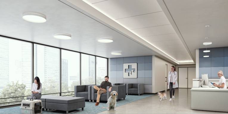 Shell Round Surface and Pendant